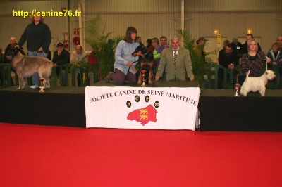 du mont des croisettes - Expo de ROUEN 2010