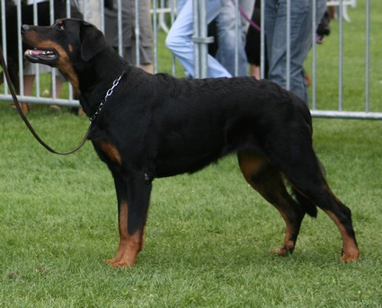 CH. Vazie du mont des croisettes